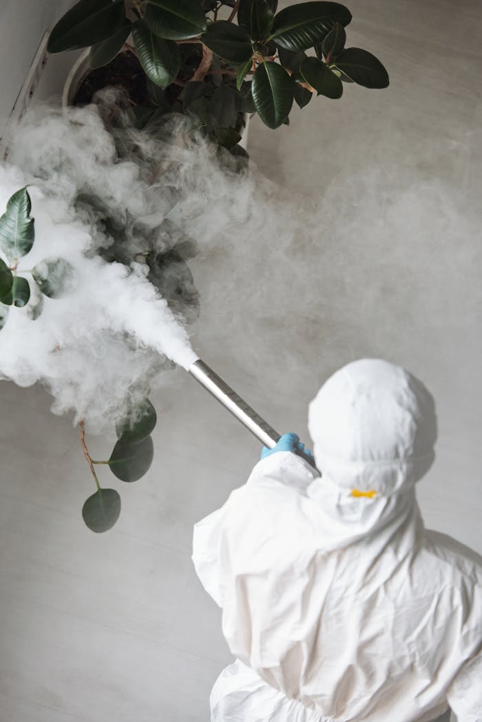 Home Person in protective gear fumigating an indoor plant, emitting smoke.