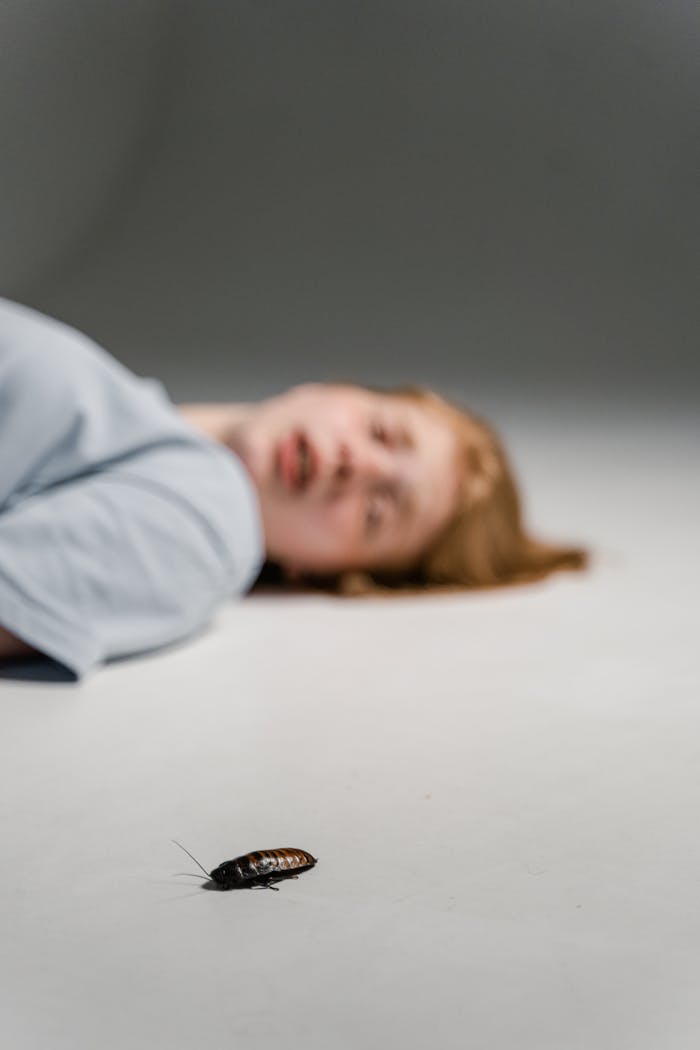 Services Close-up of a Madagascar hissing cockroach on a smooth surface with a blurred background, depicting focus and depth.